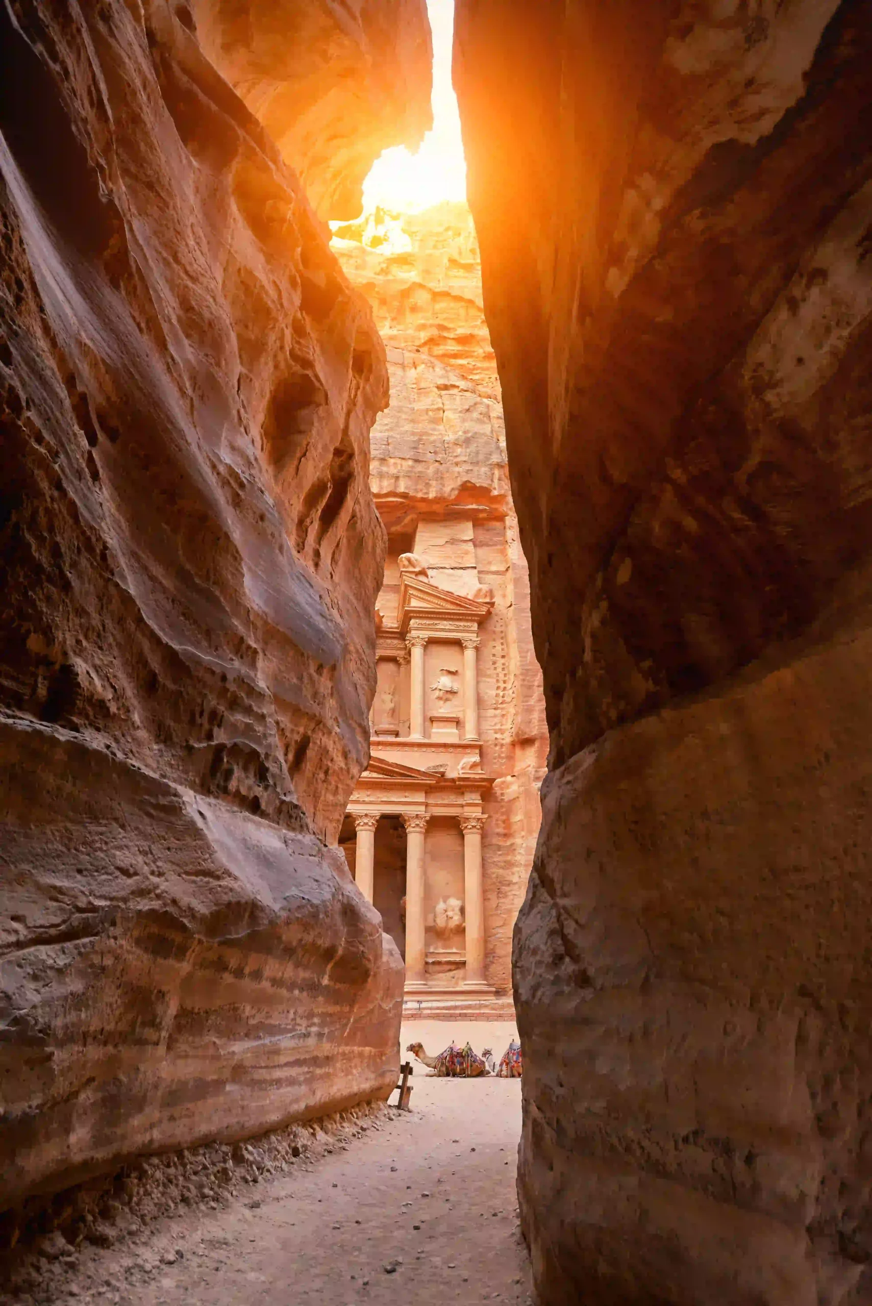 family tours in Jordan