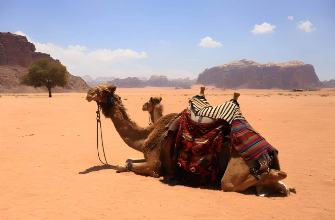 Private Wadi Rum tour from Amman