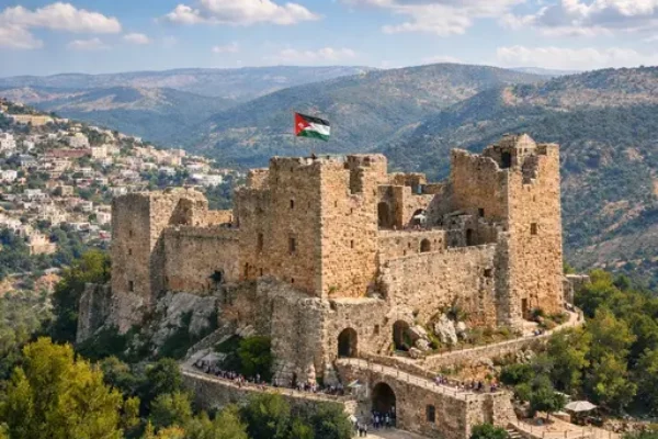 Private Jerash Ajloun Umm Qais Tour from Amman