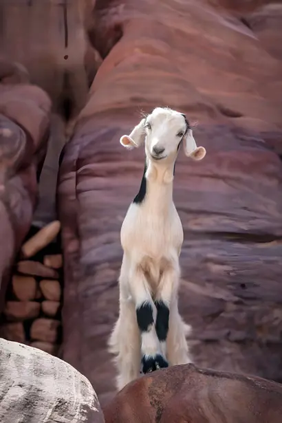 wild and adventure tours