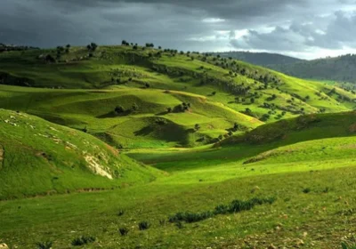 Day Tour in Irbid Jordan