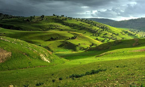 Day Tour in Irbid Jordan