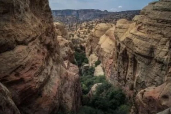 Private Dana Hiking Tour from Amman