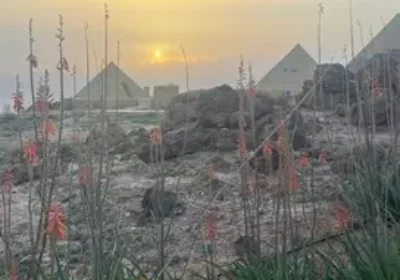 Panorama Dead Sea Experience