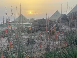 Panorama-Dead-Sea-Experience-