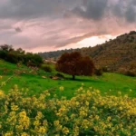 the spring in jordan