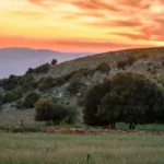 the spring with sunset in amman